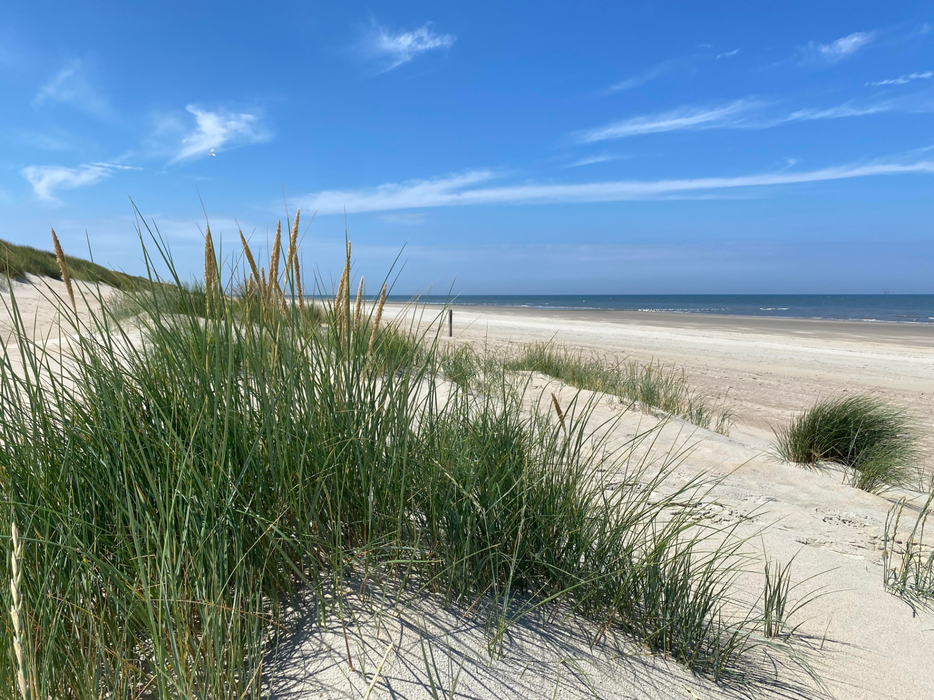 Fris duinlandschap met helmgras, zand en zee onder een lichtblauwe lucht